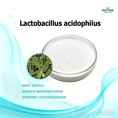Lactobacillus acidophilus powder