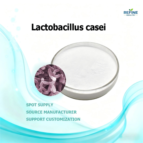  Lactobacillus casei powder