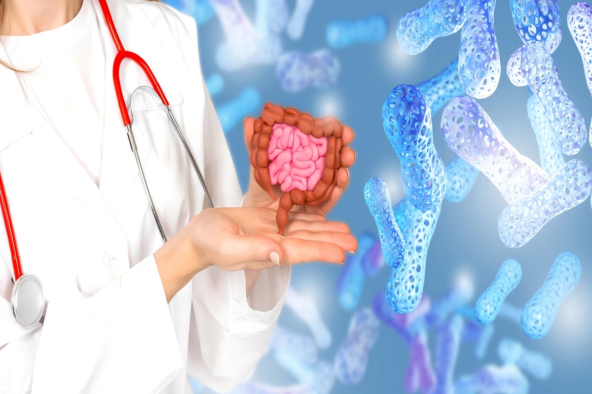 Lactobacillus plantarum配图(1)